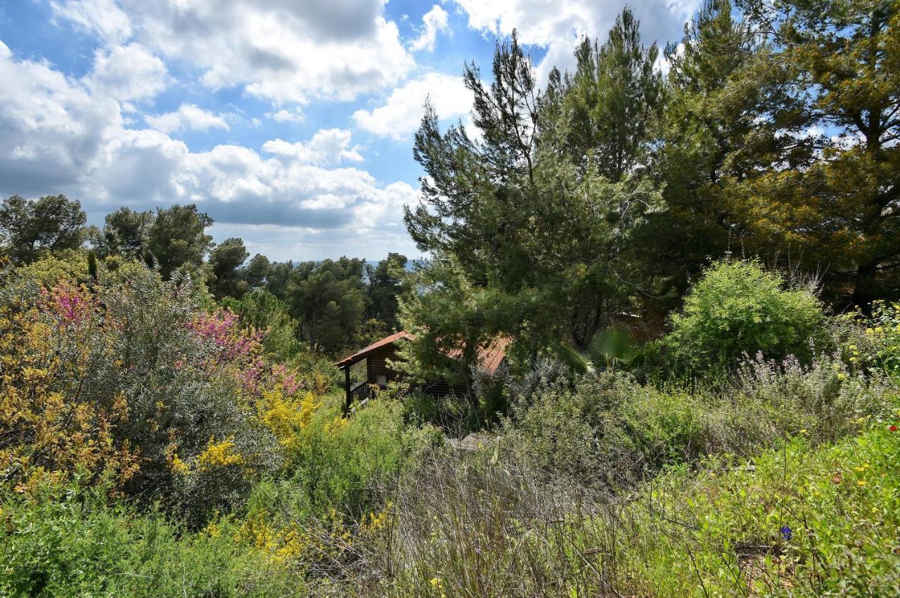 Zimmers At The Forest Amirim Εξωτερικό φωτογραφία