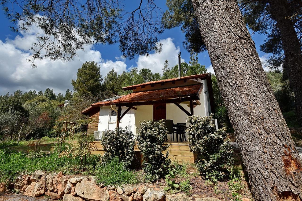 Zimmers At The Forest Amirim Εξωτερικό φωτογραφία