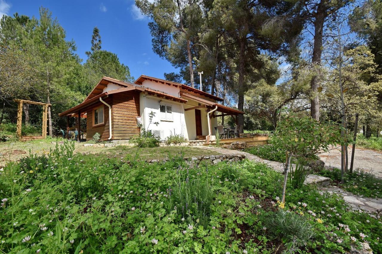 Zimmers At The Forest Amirim Εξωτερικό φωτογραφία