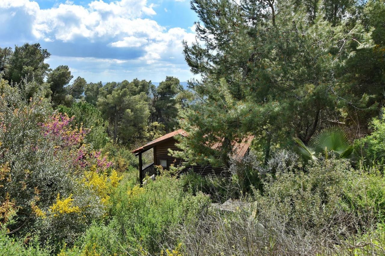 Zimmers At The Forest Amirim Εξωτερικό φωτογραφία
