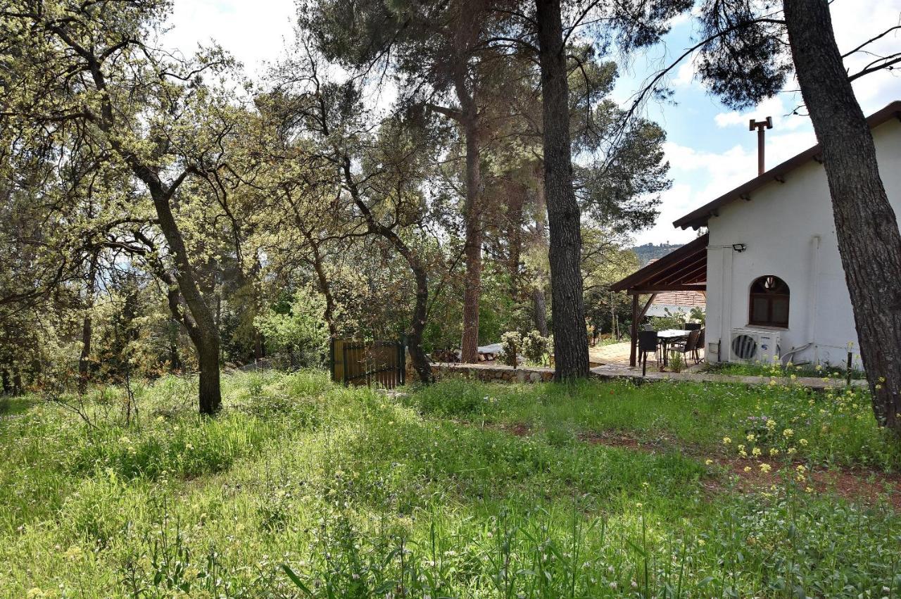 Zimmers At The Forest Amirim Εξωτερικό φωτογραφία